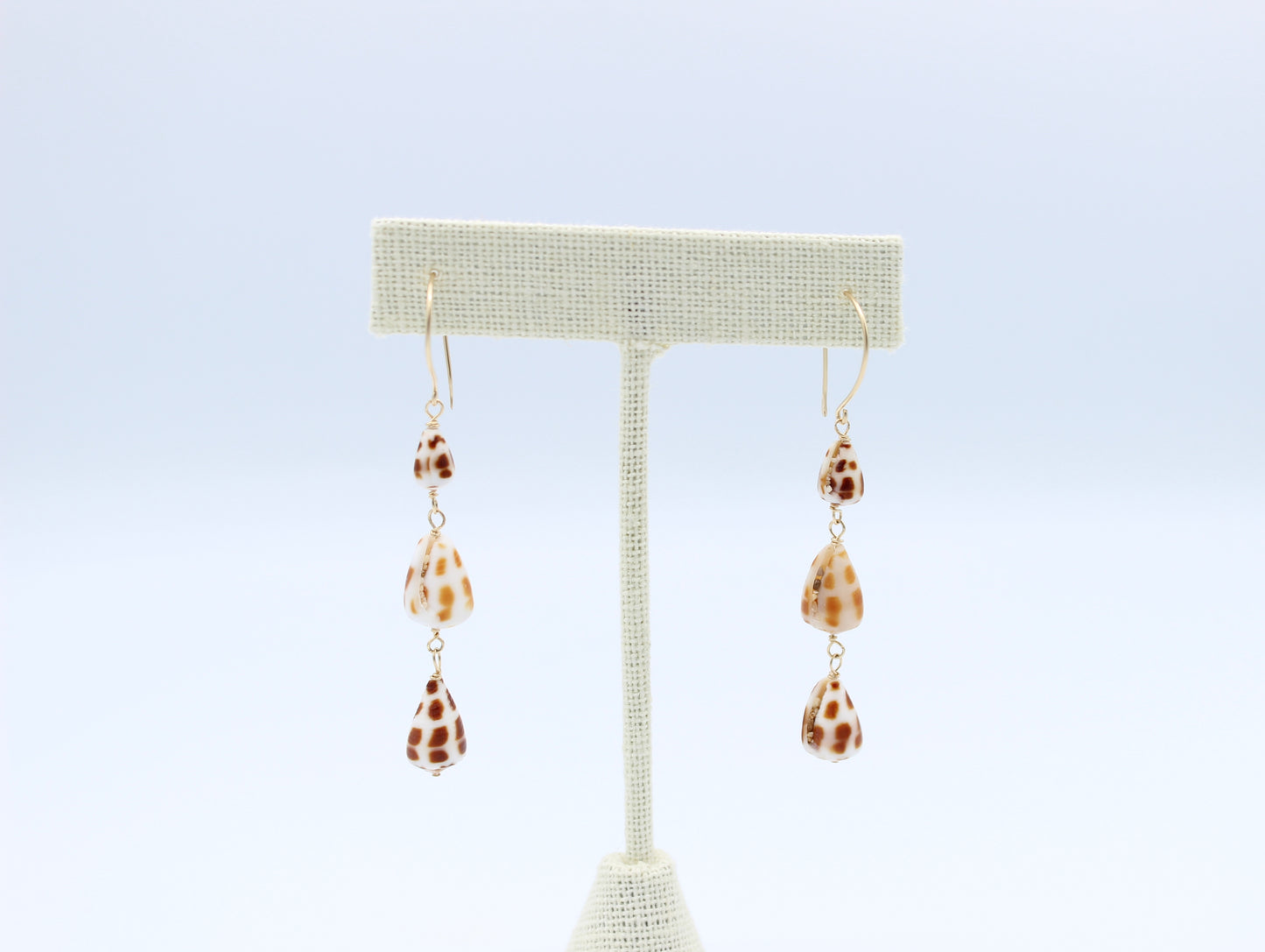 Rare Brown Hebrew Cone Shell Earrings