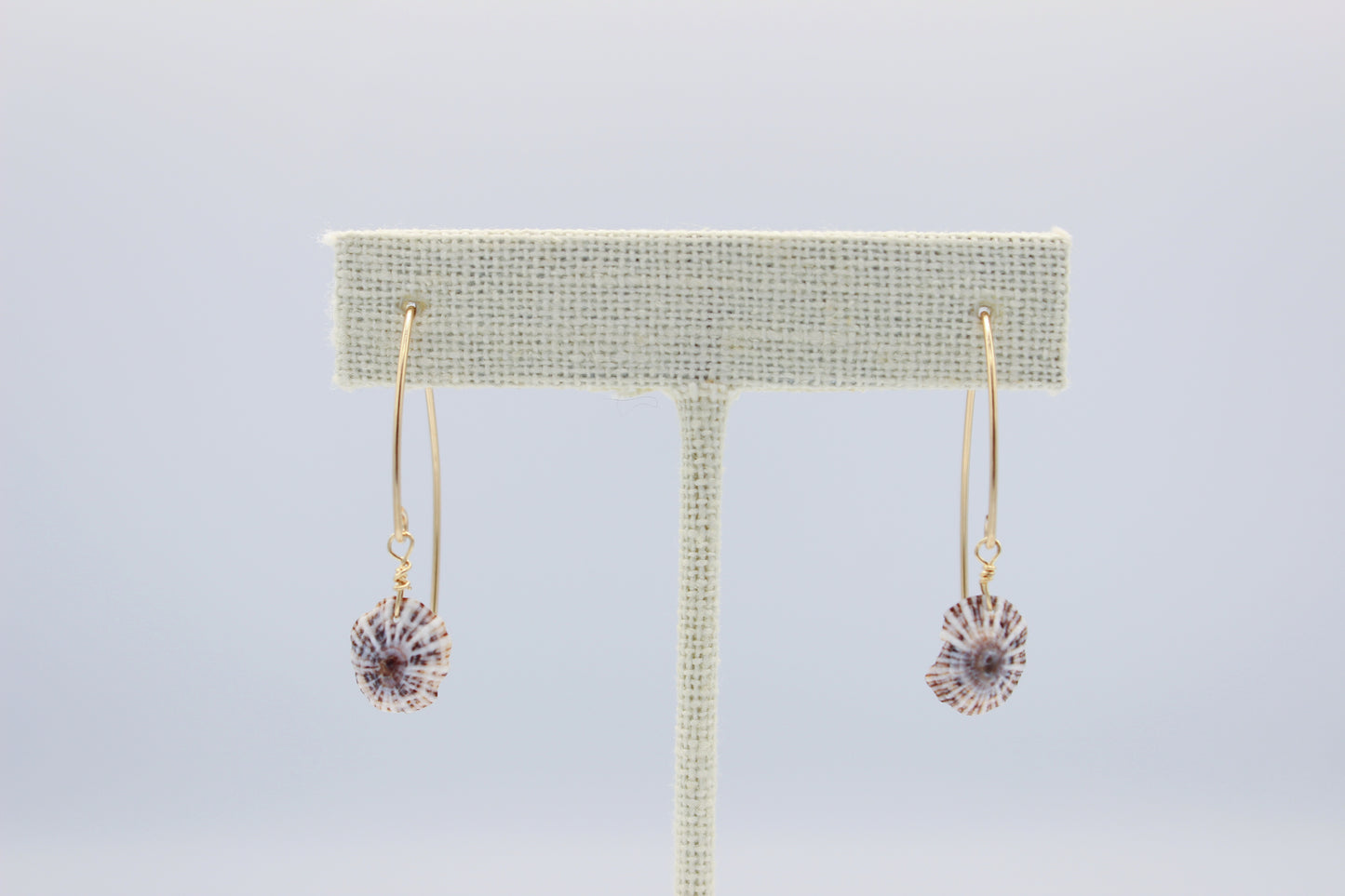 'Opihi 'Awa Hook Earrings
