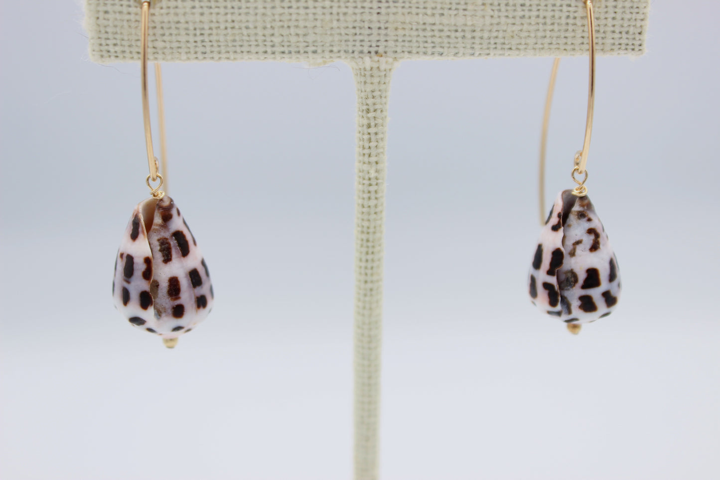 Hebrew Cone Shell Hook Earrings