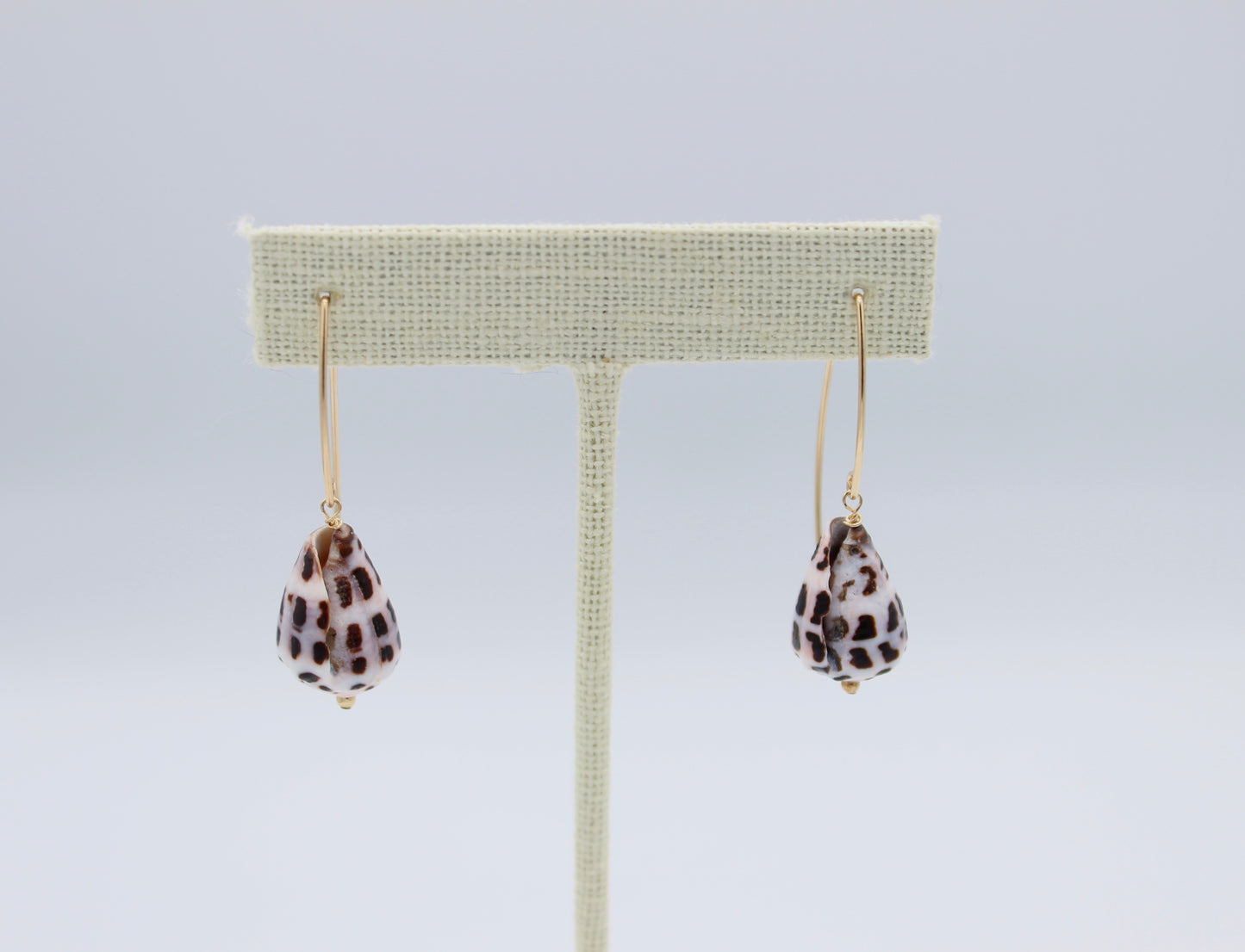 Hebrew Cone Shell Hook Earrings