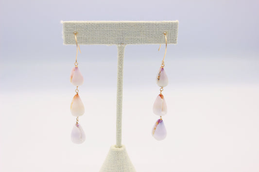 Plain Cone Shell Earrings