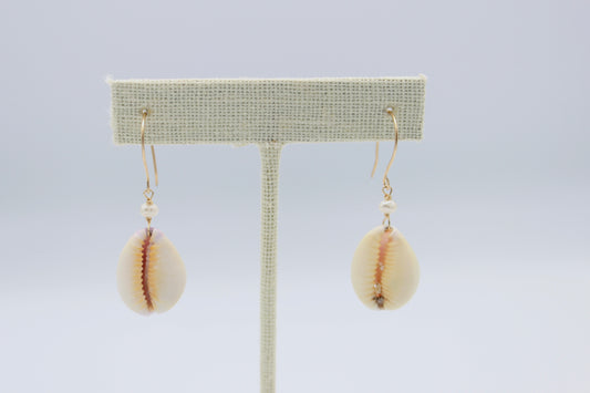 Cowrie Shell Earrings