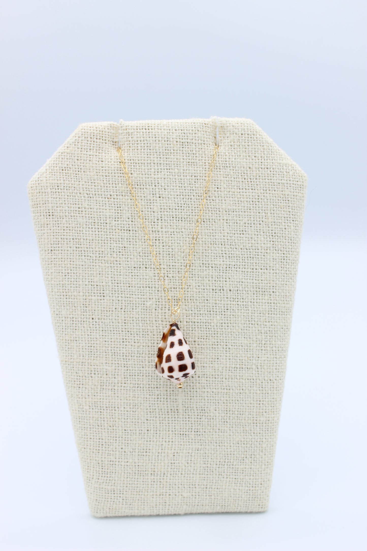 Hebrew Cone Shell Necklace