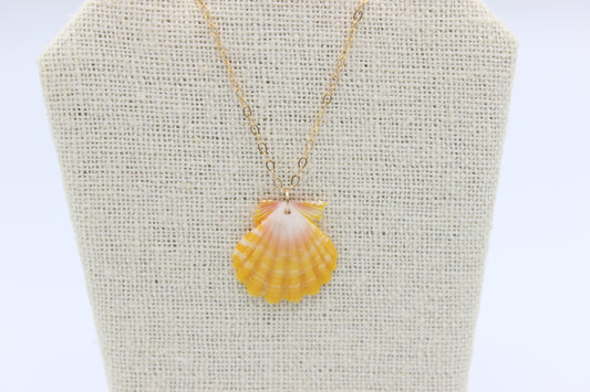 Small Sunrise Shell Necklace