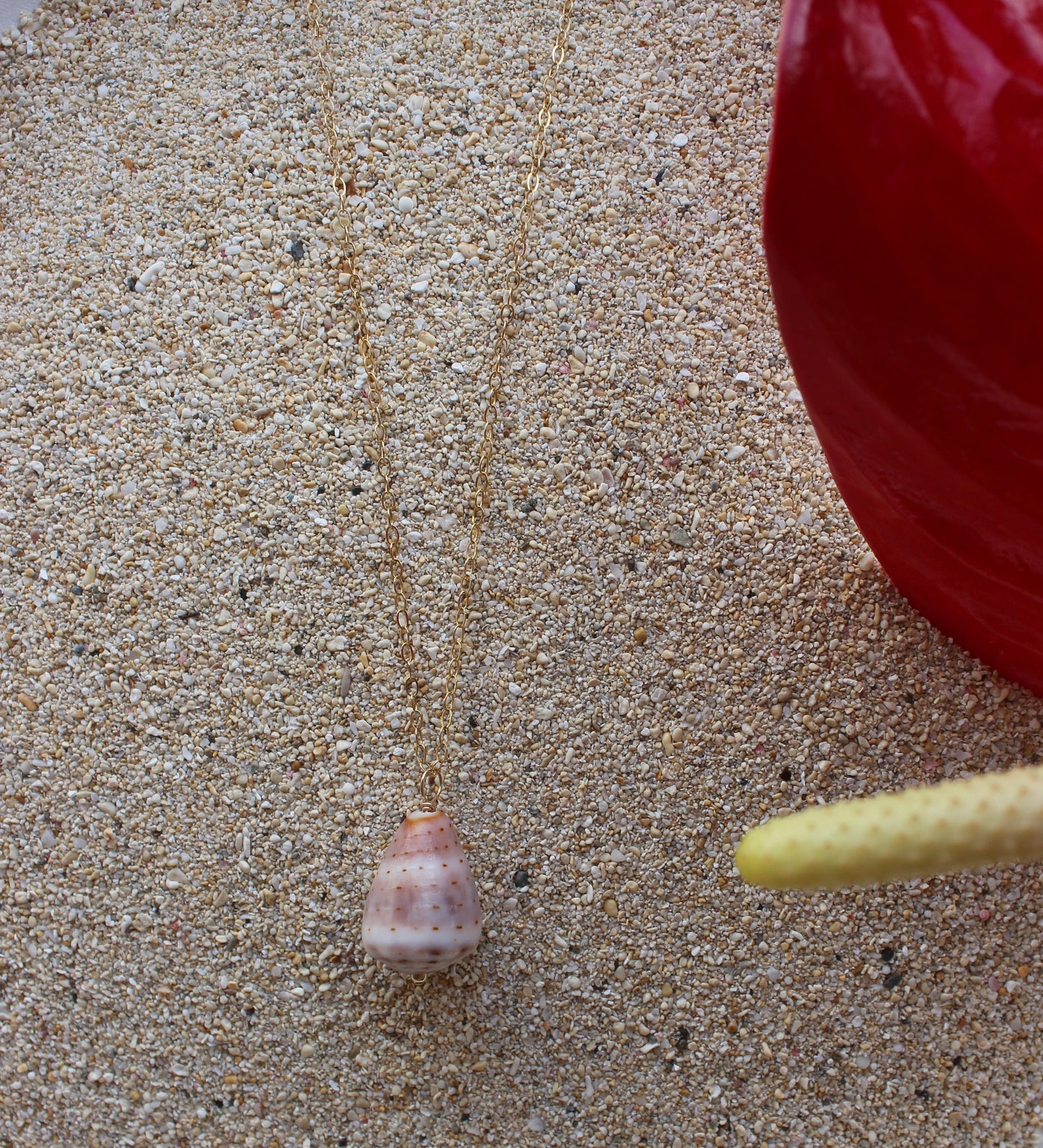 Abbreviated Cone Shell Necklace