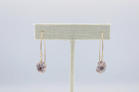 'Opihi 'Awa Hook Earrings